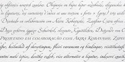 Zapfino Extra Font Poster 5
